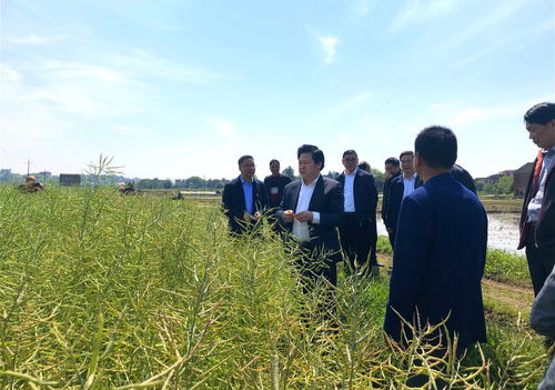 郴州新聞網(wǎng) 市委副書記 市長 劉志仁