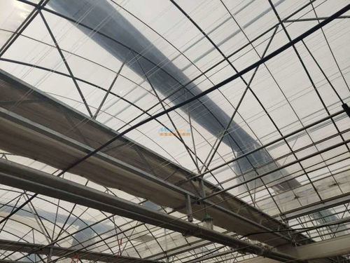 海榮模塊溫室報價 山東專業的海榮模塊溫室 壽光市隆農大棚保溫材料廠