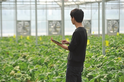 振興鄉村 國家發改委點贊貴州農業云、廣東農村超高速無線局域網