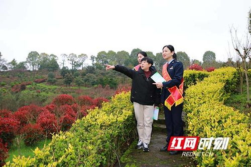 湖南衡陽 稅收助力 繪就鄉(xiāng)村振興美麗畫卷