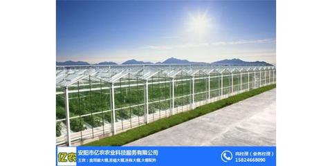 鋼架大棚廠_河北鋼架大棚_億農(nóng)農(nóng)業(yè)