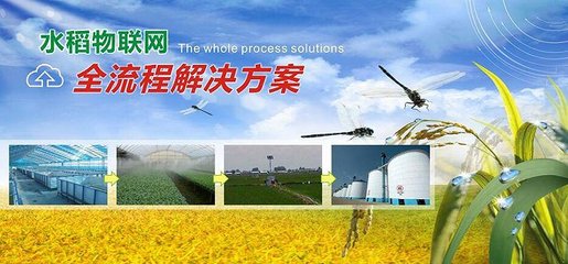 中外農(nóng)業(yè)大數(shù)據(jù)企業(yè)對(duì)壘,誰(shuí)能更勝一籌?