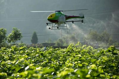 重磅|看京東、金少江、百果園、順豐如何淘金智慧農業