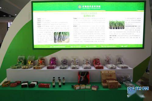 科學(xué)技術(shù)創(chuàng)新推進(jìn)云南鄉(xiāng)村振興