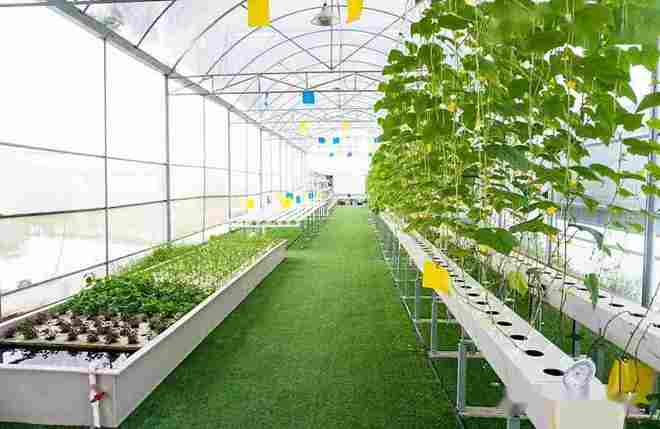 西安三產(chǎn)融合園,農(nóng)業(yè)產(chǎn)業(yè)園分類,鄉(xiāng)村振興項(xiàng)目,美麗鄉(xiāng)村項(xiàng)目