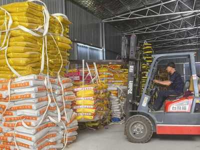 綠色農資進萬家 科技服務助豐收--青島市供銷社開展2025年綠色農資下鄉活動