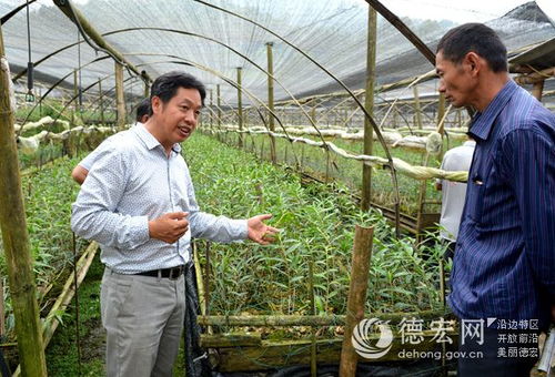 瑞豐農業科技組織石斛管育現場觀摩會 以科技賦能農業服務新篇章