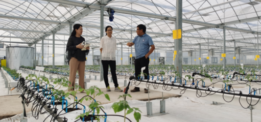 河南省科技支撐鄉村振興工作網 農業科技服務賦能鄉村發展