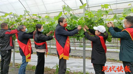 鹽城勞模愛心團(tuán)隊(duì) 科技助農(nóng)，護(hù)航春耕防疫“兩不誤”